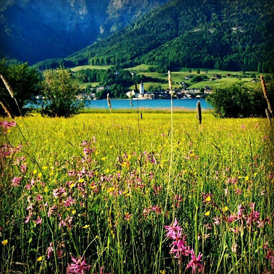 Fumerhof Strobl Exteriör bild
