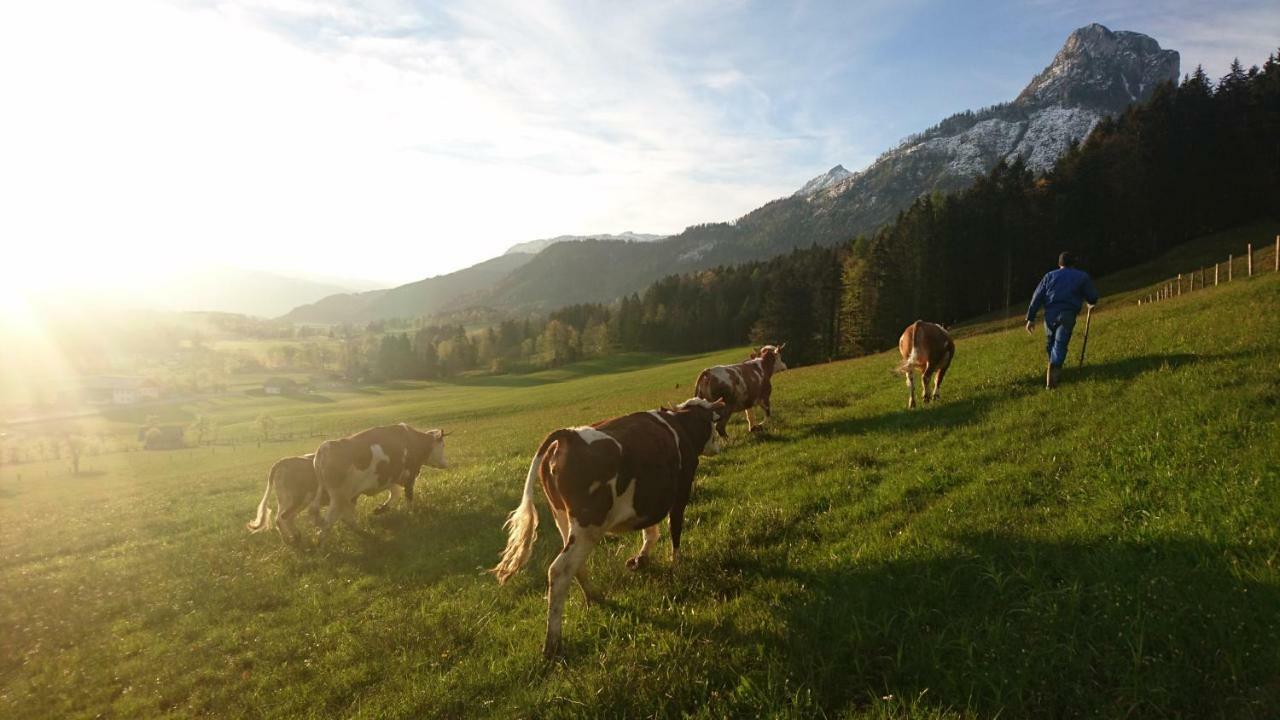 Fumerhof Strobl Exteriör bild