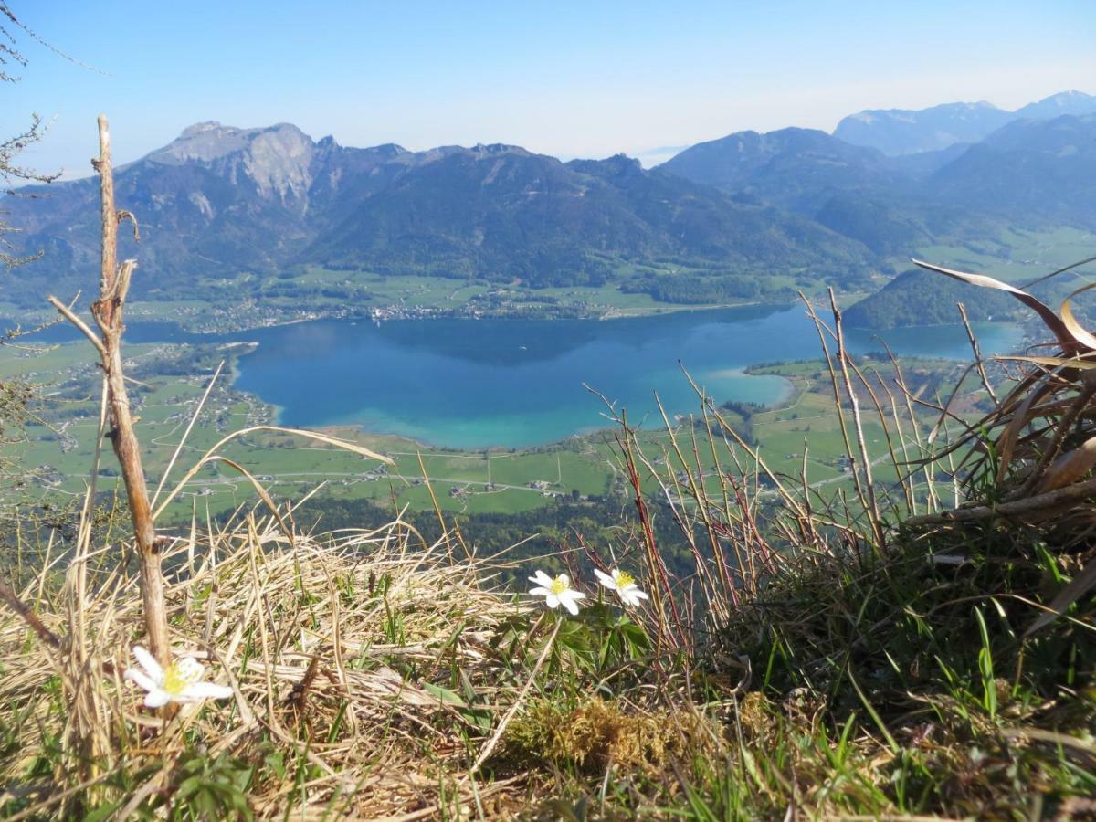 Fumerhof Strobl Exteriör bild