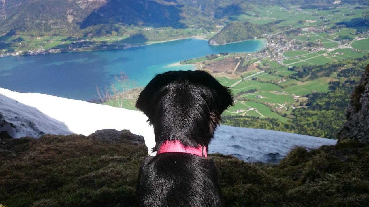 Fumerhof Strobl Exteriör bild